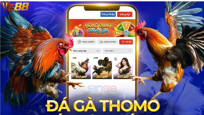 Những lý do nên tham gia đá gà VE88