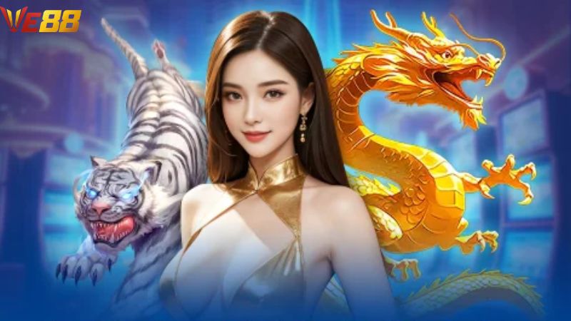 Quy trình chơi game rồng hổ tại VE88